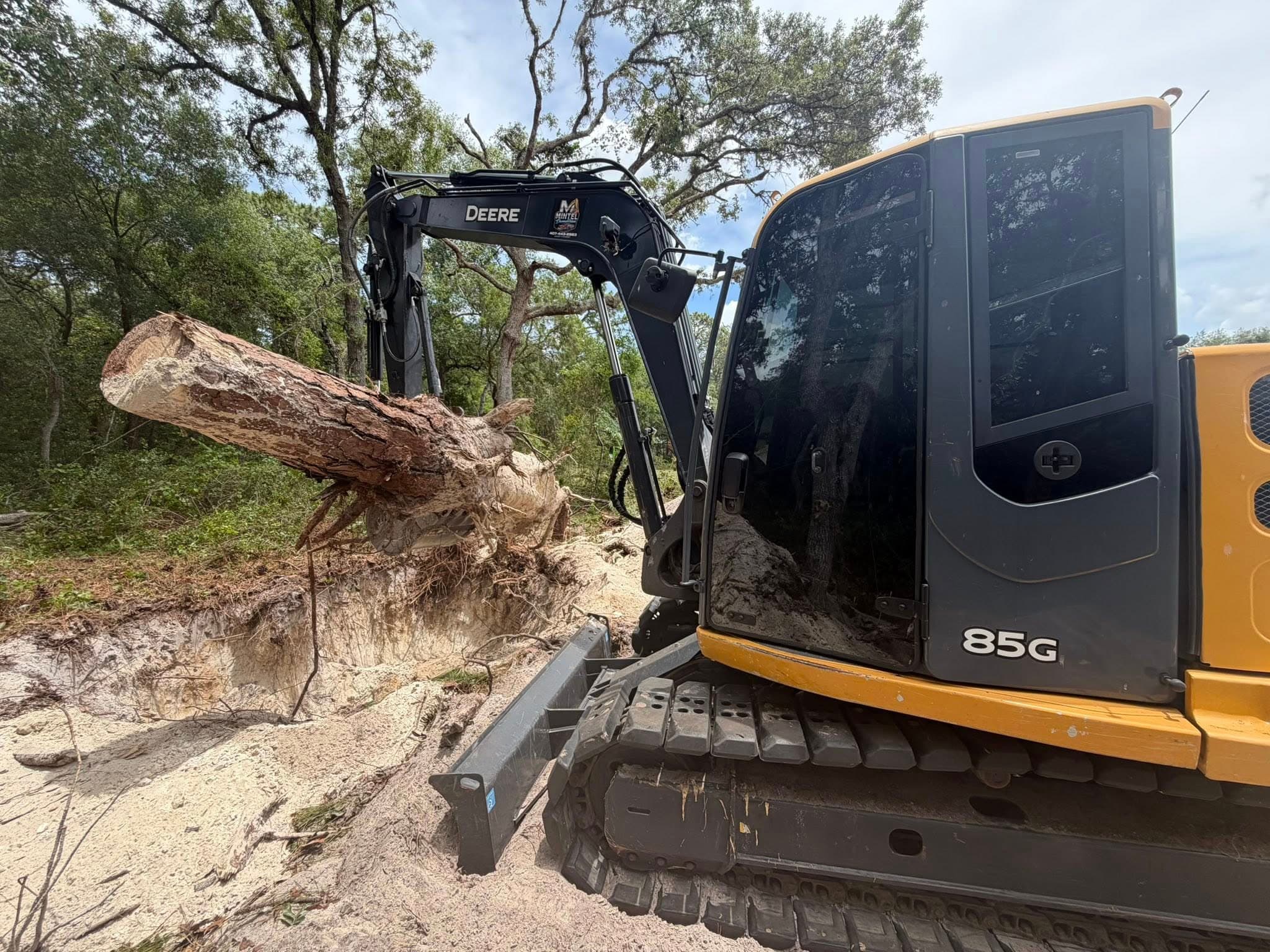 Stump Excavation, Backfill & Haul-Off in Longwood, FL